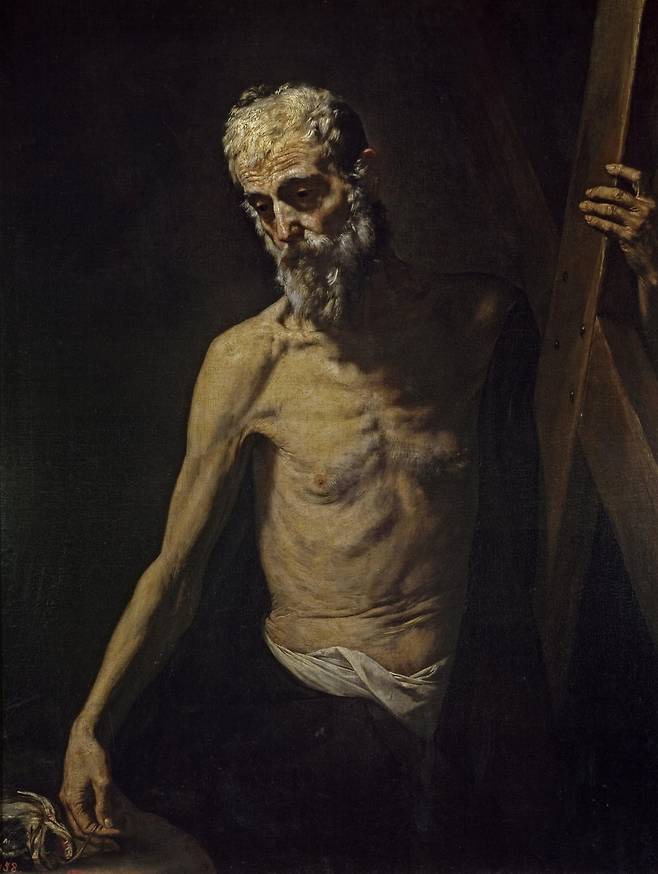 성 안드레아 (1630~1632). 나폴리의 뜨거운 태양 아래서 검게 타고 주름진 노동자의 얼굴을 성인의 모습으로 투영했다. 거친 피부와 투박한 손마디는 그가 '진짜 인간'을 그렸다는 사실을 증명한다. / 스페인 프라도 미술관