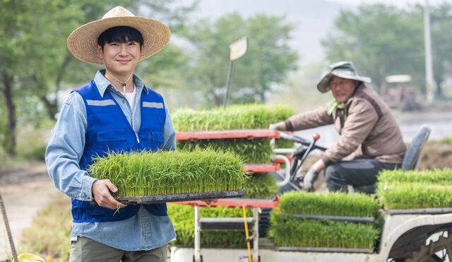 클립아트코리아