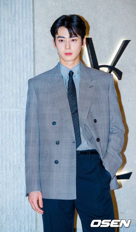 차은우 200억 탈세 의혹 법조계 분석…절세와 탈세 경계 중요한 사례 될 것 [순간포착]