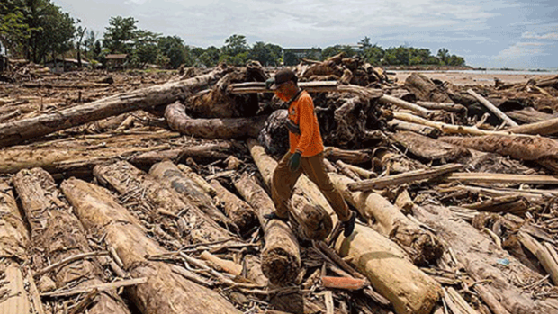 인도네시아 수마트라섬 홍수 이후 떠내려온 나무들. AFP연합뉴스