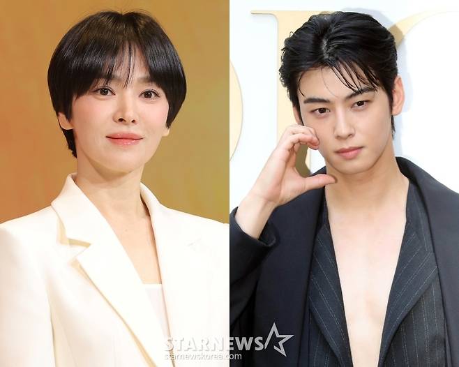 송혜교, 차은우 /사진=스타뉴스