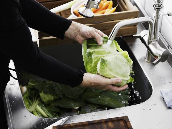 양배추는 먼저 겉잎 2~3장을 제거해 오염 가능성이 가장 높은 부분을 없앤다. 그 다음 통째로 흐르는 물에 놓고 손으로 문지르듯 씻어 표면의 흙과 먼지를 제거한다. 사진=클립아트코리아