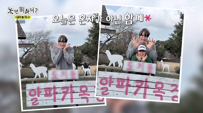 알파카 침 세례에 멘붕…제주 집결, 최홍만 소원 대환장 파티 [RE;TV]