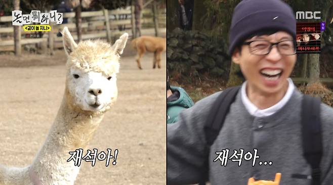 '놀면 뭐하니?' 방송 캡처