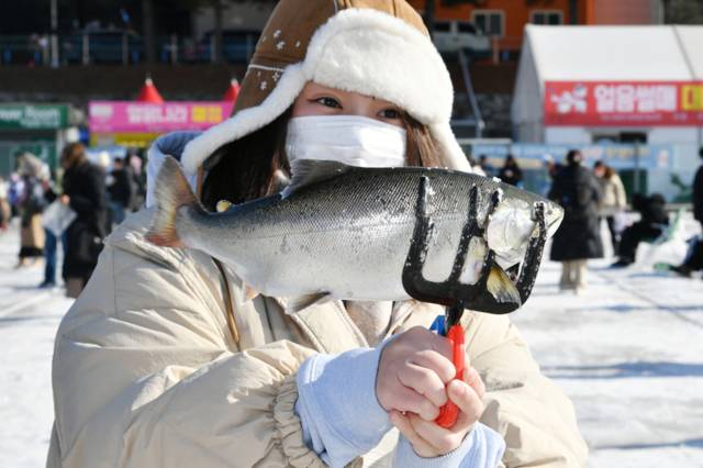 ▲ 1월 마지막 휴일인 25일 화천산천어축제장을 찾은 외국인 관광객들이 전용낚시터에서 산천어 얼음낚시를 즐기고 있다.