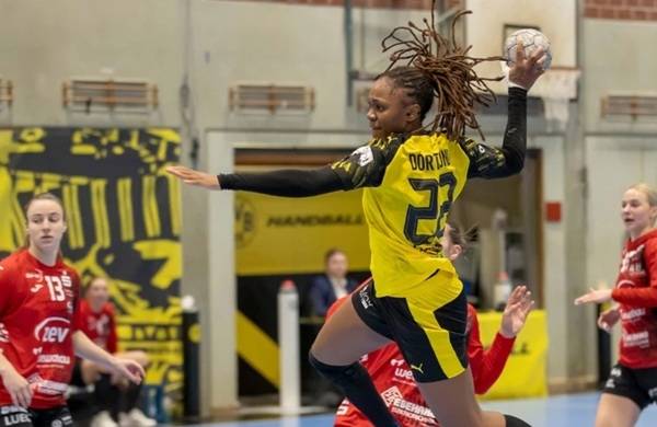 사진 2025/26 시즌 독일 여자 핸드볼 분데스리가 보루시아 도르트문트와 작센 츠비카우 경기 모습, 사진 출처=보루시아 도르트문트