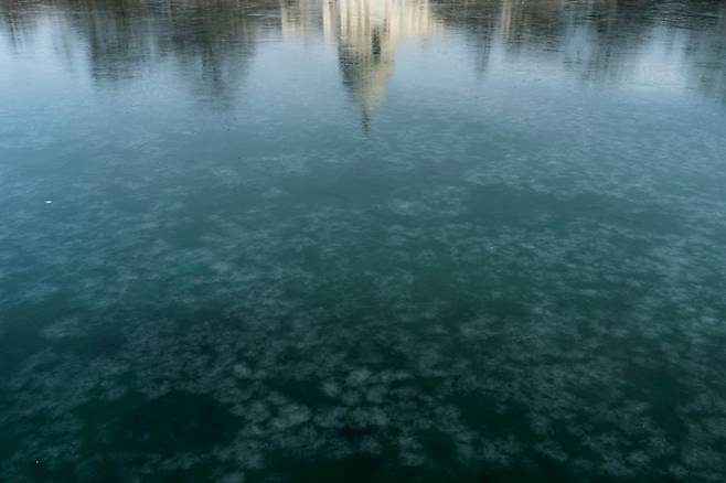 미국 워싱턴 DC 소재 연못이 얼어 국회의사당이 비친 모습/사진=로이터