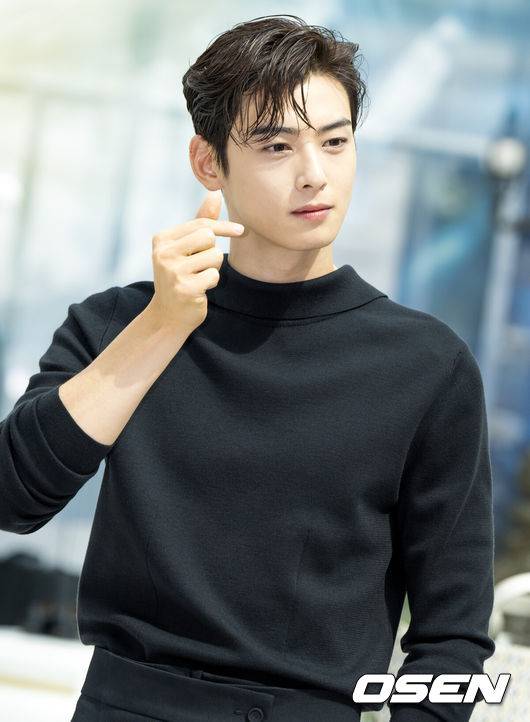 '연예계 퇴출위기' 차은우, 200억 탈세 해설판 나왔다 치밀한 설계 보여 [Oh!쎈 이슈]