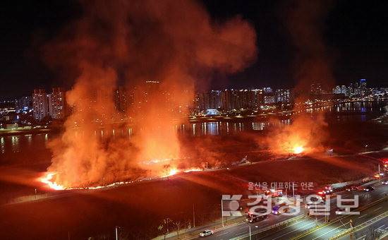 ▲ 지난 24일 울산시 북구 명촌교 인근 태화강둔치 억새밭에서 화재가 발생해 시뻘건 화염이 뒤덮고 있다. 사진 독자제공