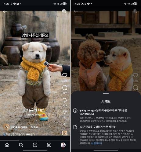 23일 인스타그램에서 조회한 강아지 영상(왼쪽). 화면 하단에 있는 '더 보기' 버튼을 눌러야 AI가 생성한 영상이라는 라벨(오른쪽)을 확인할 수 있다. 인스타그램 캡처