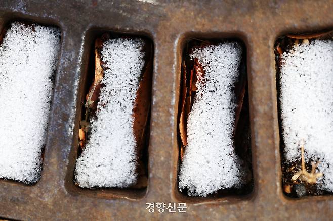 눈의 흔적. 2026.1.26. 정지윤 선임기자