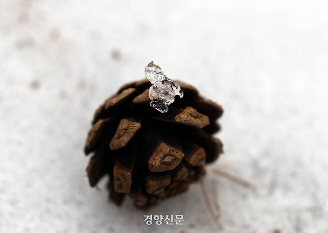 눈의 흔적. 2026.1.26. 정지윤 선임기자