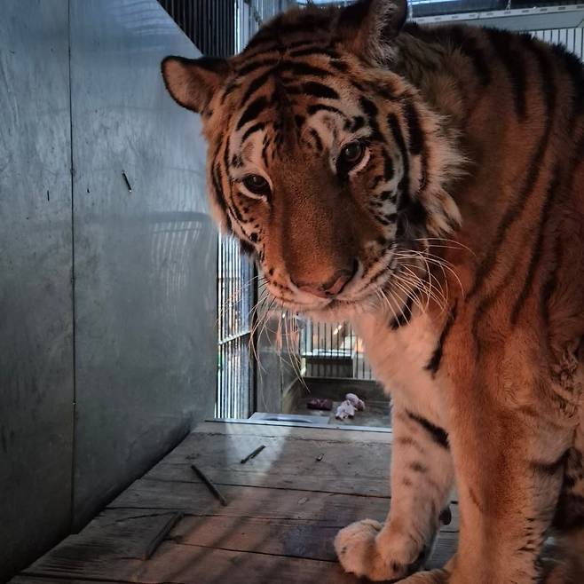 [청주동물원 인스타그램]