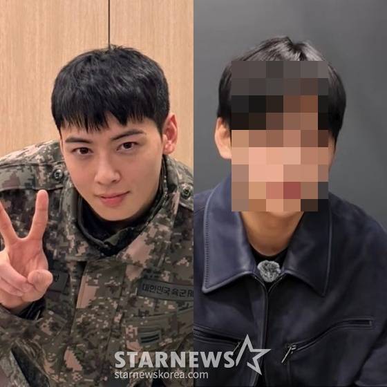 왼쪽부터 차은우, 친동생 /사진=SNS, 유튜브 채널 '세바시 강연' 영상 캡처