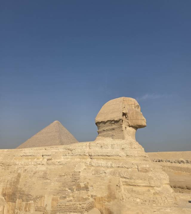 지금도 인간의 목소리를 듣고 있는 스핑크스의 또렷한 귀. 하태길 교수