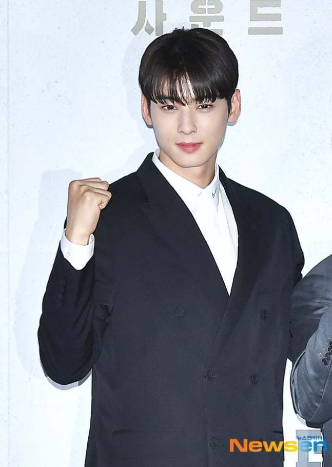 차은우, 뉴스엔DB