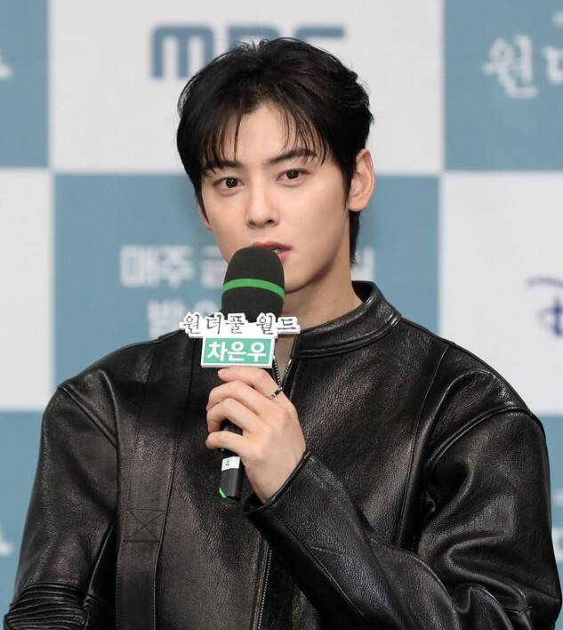 가수 겸 배우 차은우. 뉴시스