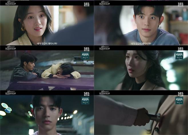 사진=SBS