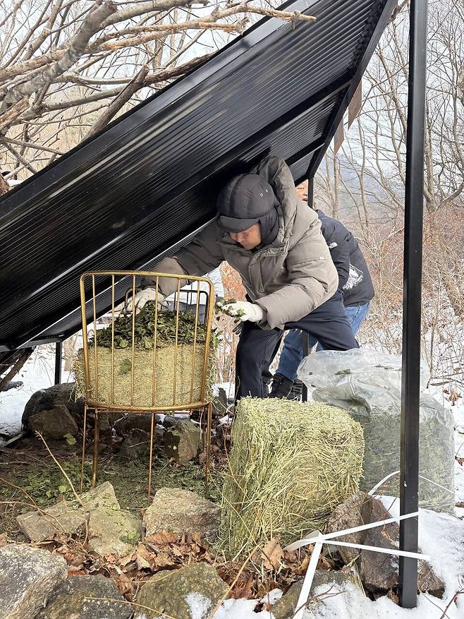 산양 먹이터를 정돈하는 자연의벗 오창길 이사장. (사진 자연의벗)/뉴스펭귄