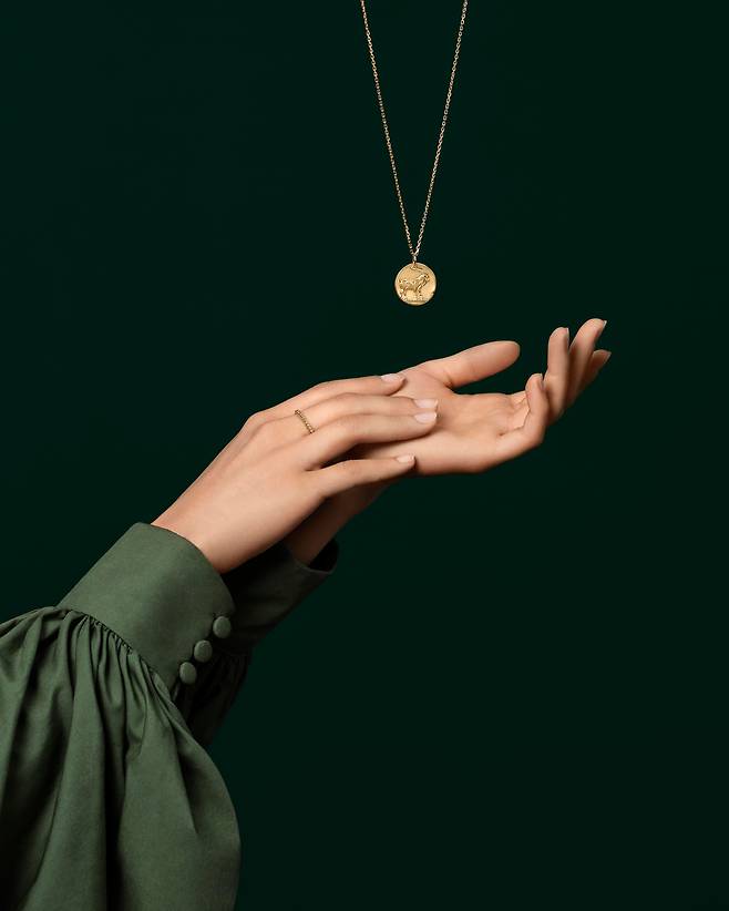 2026년 1월 새롭게 선보여진 반클리프 아펠 조디악(Zodiaque) 컬렉션.