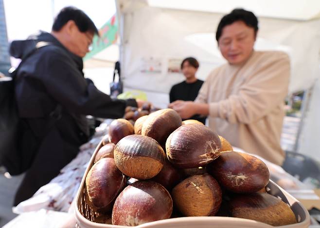 공주 알밤을 구매하고 있는 시민들. /연합뉴스