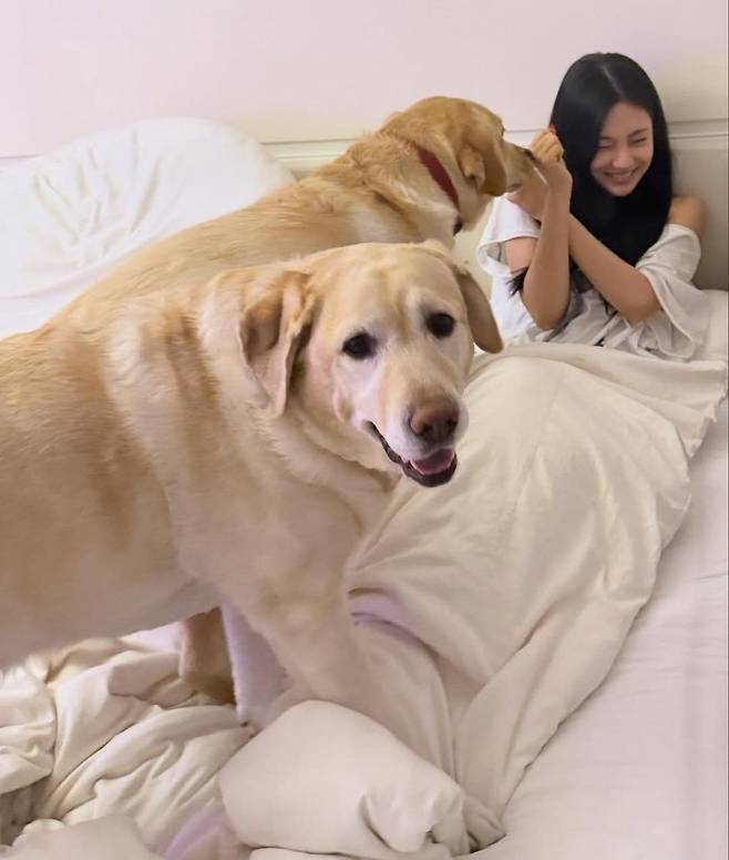 인스타그램 @imnotningning