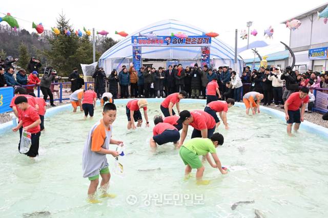 ▲ 대한민국 대표 겨울 축제로 성장한 올해 평창송어축제가 9일 오전 진부면 오대천 축제장에서 개막식을 갖고 2월 9일까지 축제 일정에 들어갔다. 축제 개막시에 이어 참가자들이 영하의 날씨에 송어맨손잡기 체험을 하고 있다. 신현태 [강원도민일보 자료사진]