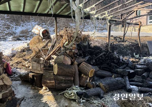 29일 오전 1시께 평택시 한 주택에서 화복보일러에서 불이 나 80대 남성이 숨졌다. 주택 마당에는 불을 땔 때 쓰던 땔감이 쌓여 있다. 2026.01.29/ 마주영기자 mango@kyeongin.com