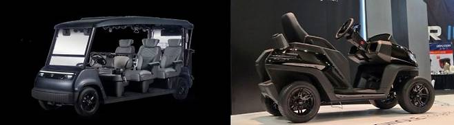 편리한 기능을 갖춘 럭셔리 리무진 카트(왼쪽)와 최첨단 기능을 장착한 1인승 골프 카트. 대동 모빌리티, 메이트모빌리티 제공