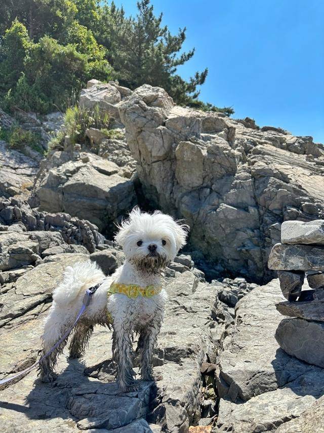 즐거운 시간 뒤 남은 건 목욕 뿐! 보호자 제공