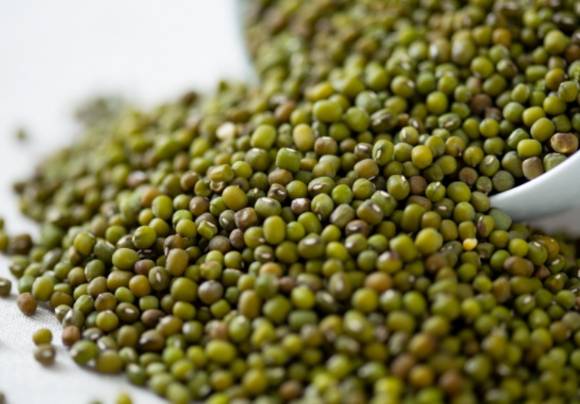 녹두. [사진=픽사베이]