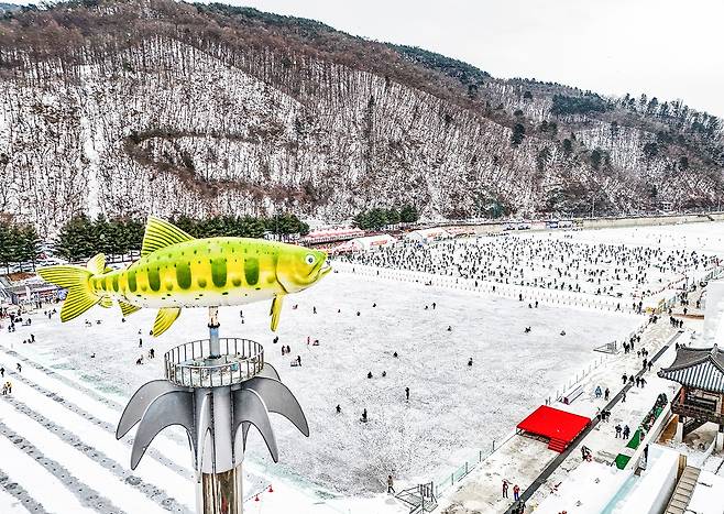 하늘에서 본 산천어축제 행사장 [사진/임헌정 기자]