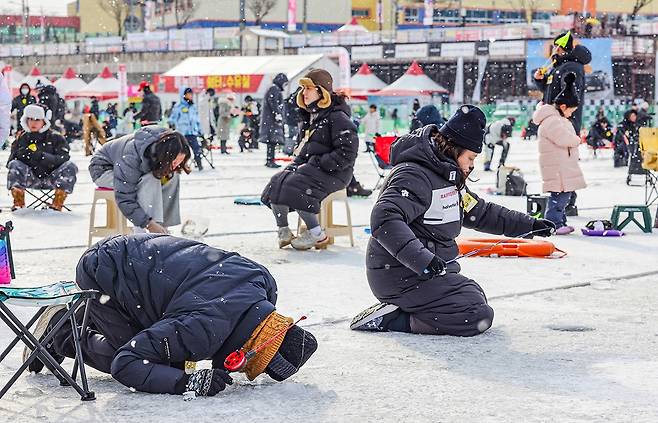 구멍 속 산천어 찾는 시민들 [사진/임헌정 기자]