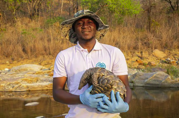 Fauna & Flora는 이 동물들을 2026년 주목해야 할 멸종위기종으로 선정하면서 "보호작업을 이어나가야 한다"고 말했다. (사진&nbsp;Alfredo Gotine / Fauna & Flora)