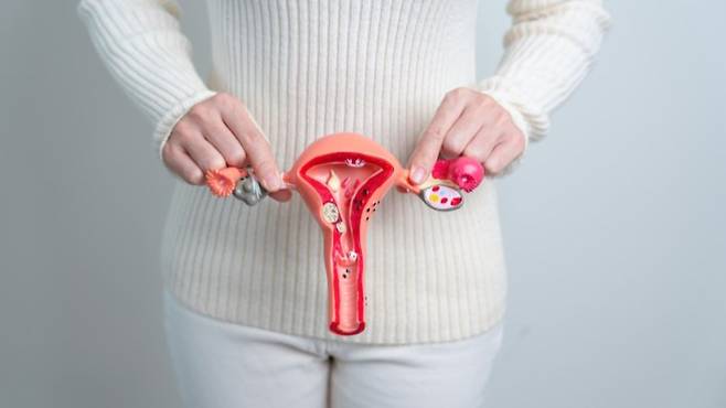 난소낭종 염전, 파열 시 극심한 하복부 통증이 동반된다 | 출처: 게티이미지뱅크