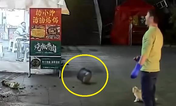 떨어진 화분 [사진=도우인]