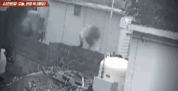 제주 식당을 오가며 먹튀 행각을 벌이는 청소년 무리들 모습. /사진=JTBC 사건반장 갈무리