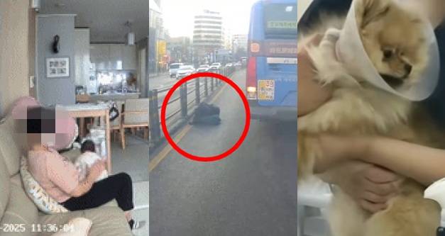 /사진=온라인 커뮤니티 '보배드림'·JTBC '사건반장' 갈무리