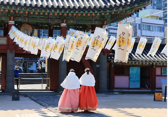 25일 제주목 관아 일대에 2026 병오년 탐라국 입춘굿을 알리는 입춘춘등이 걸려 있다. 올해 탐라국 입춘굿 행사는 2월 2일부터 입춘인 4일까지 열린다. 2026.1.25 연합뉴스