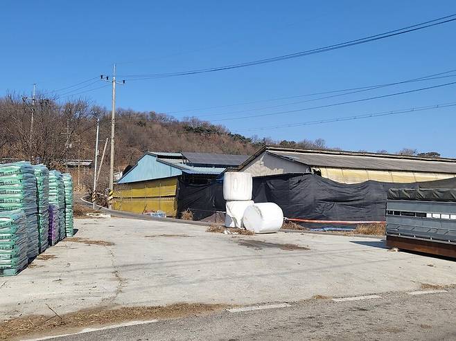 ㅅ목장 주위로 방역통제라인이 설치됐다. 목장에서 들려야할 소울음 소리는 멈췄다. 이승욱기자