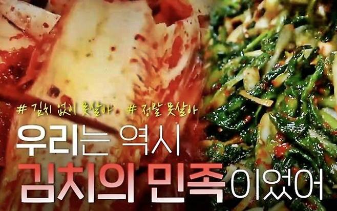 김치의 무한변신 [사진출처=연합뉴스]