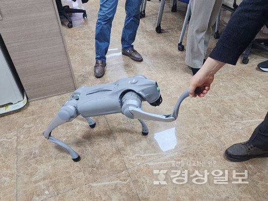 ▲ 울산 중구는 최근 1700만원의 예산을 투입해 로봇개 2대를 구입하고 중구청사에서 시범 테스트를 진행했다. 중구청 제공