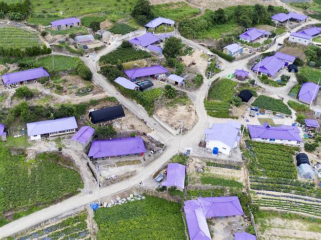 박지도 마을_최병일 기자