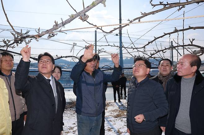 이승돈 농촌진흥청장(오른쪽에서 세 번째)이 2일 충남 천안 배 과수원을 찾아 궤양 제거와 절단 부위 소독약 도포 작업을 점검하고 있다.(사진제공=농촌진흥청)