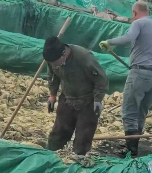 사진=SNS 영상 캡처