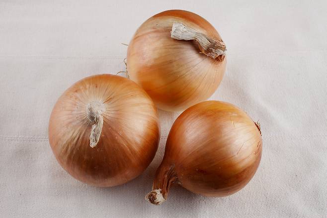 양파는 비타민C 하루 권장량의 20%를 제공한다. 사진= 게티이미지뱅크