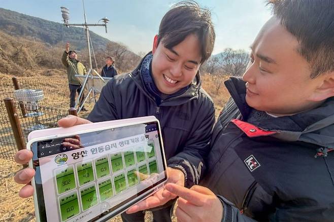 KT와 국립생태원 직원들이 양산 원동습지에 자동기상관측장비를 설치하고 측정 상황과 데이터를 태블릿PC로 원격 모니터링하고 있다. KT 제공