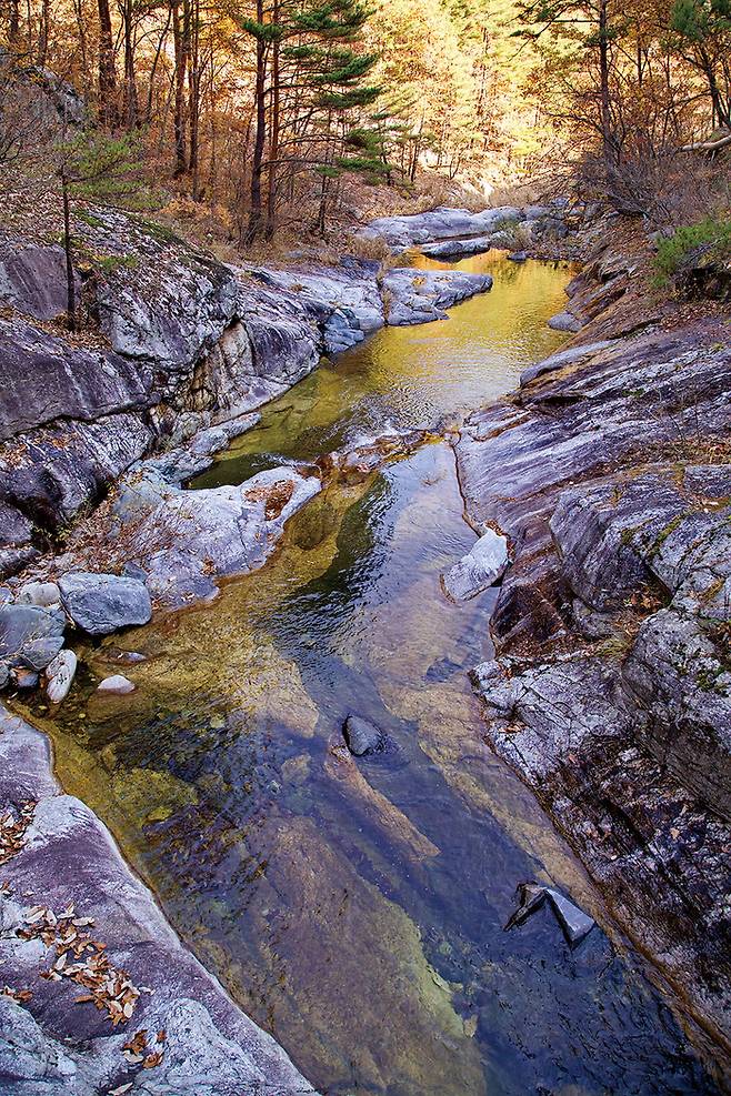 덕구계곡의 물줄기가 흐르는 응봉산 트레킹