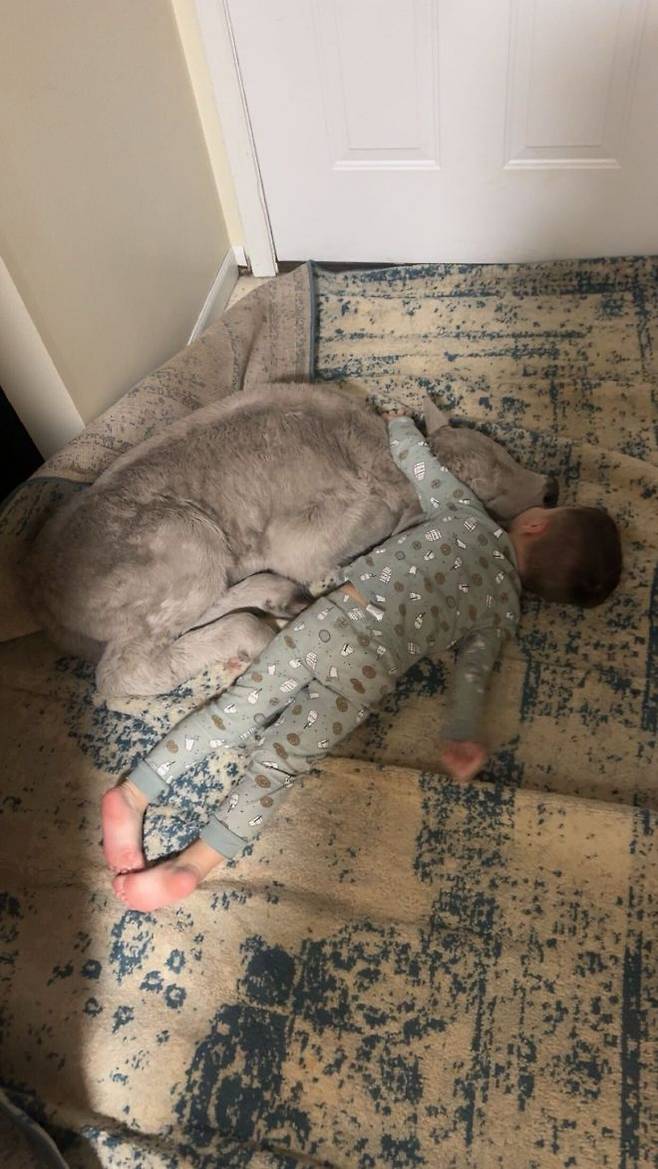 /사진=AP 연합뉴스(메이시 소렐 제공)