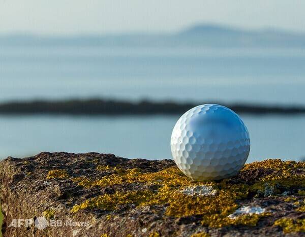 사진은 칼럼과 관련 없는 참고 이미지입니다. 사진제공=ⓒAFPBBNews = News1 (사진을 무단으로 사용하지 마십시오.)